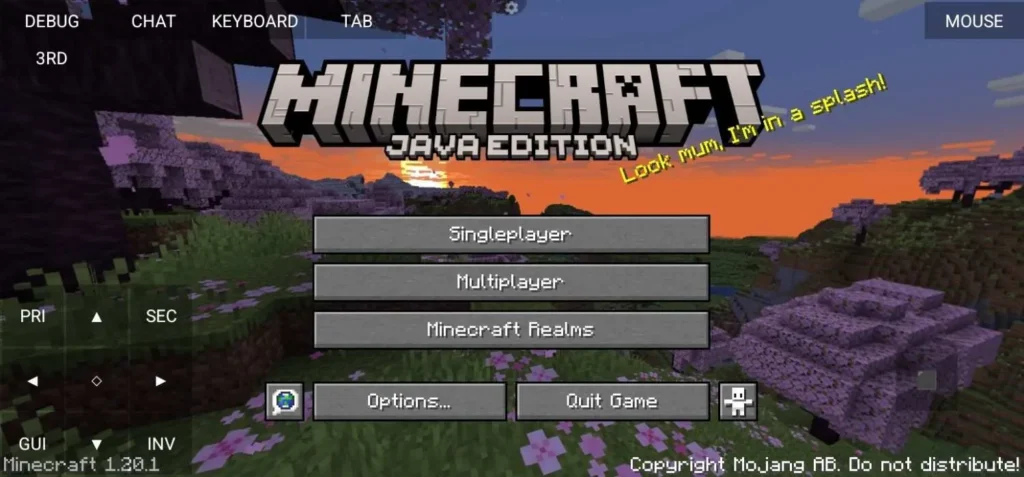 Minecraft Java Edition home screen again with the main menu visible.
